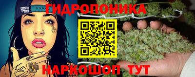jwh Краснознаменск