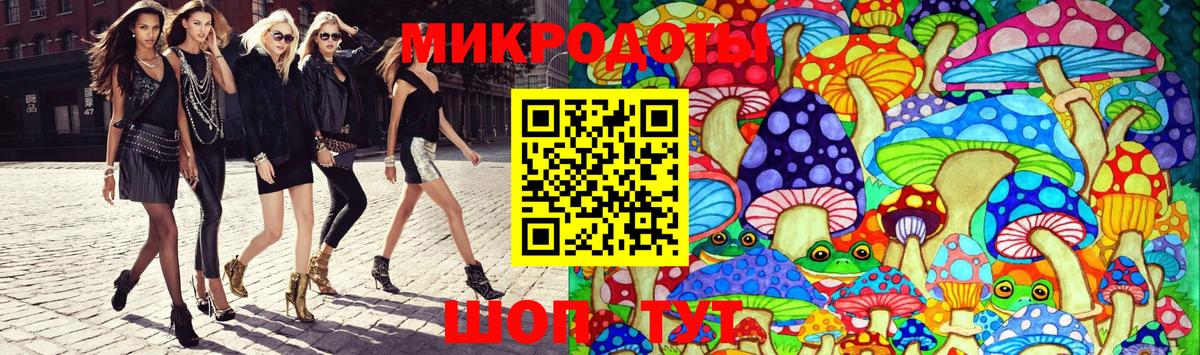 Псилоцибиновые грибы Psilocybe Кудымкар