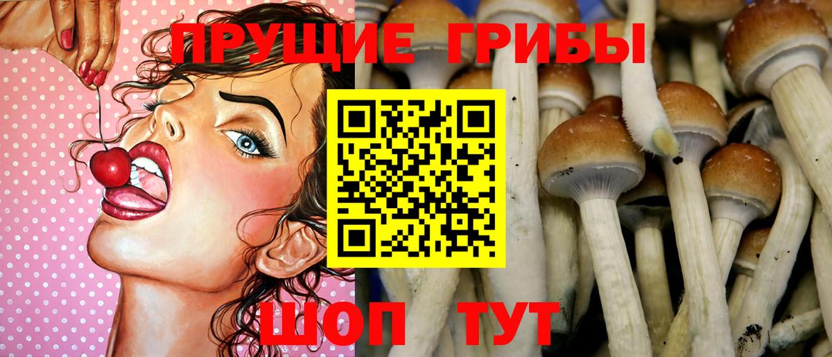 Псилоцибиновые грибы мицелий  Вход с VPN  Кудымкар 